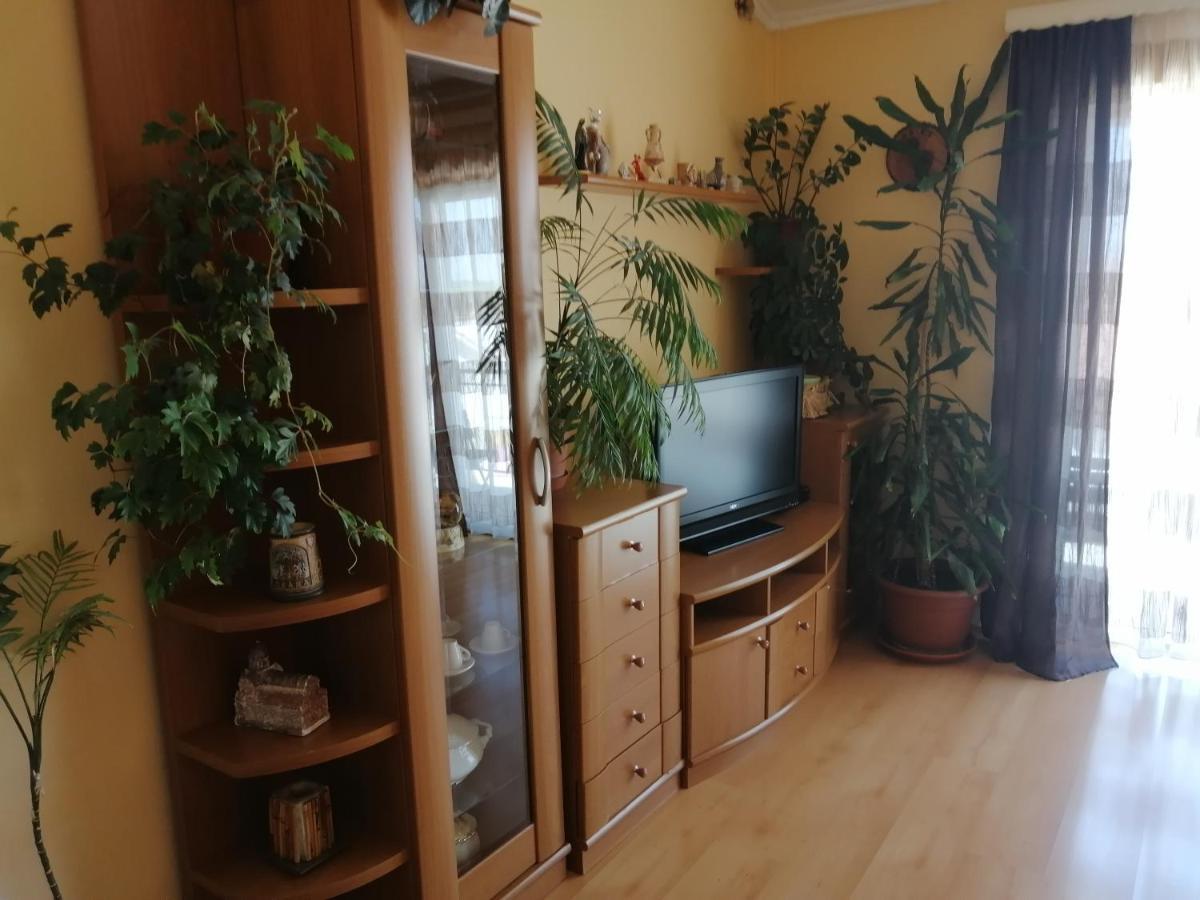 Goga Apartments Primošten Dış mekan fotoğraf